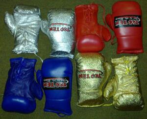 Maskot boxhandskar Topten, Get in the Ring