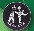 Broderat Märke Karate Kick