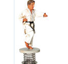 Kampsportsfigur Karate