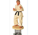 Kampsportsfigur Judo