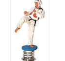 Kampsportsfigur Taekwondo