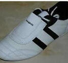 Hayashi Budoshoe Canvas/Art.leather White