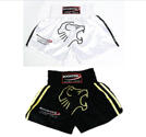 Booster Kids Thaishorts Lion