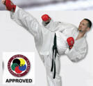 WKF Hayashi Kumite Karate Gi Vit