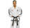 Topten Mesh Master Instructor ITF 4 Dan - bild 1