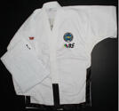 TOPTEN Deluxe 2013 Master ITF Dobok