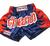 Twins Thaishorts Side Flames