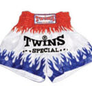 Twins Thaishorts TWINS SPECIAL, XXL