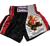 Twins Thaishorts Small Dragon,XXL