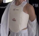 WKF Approved Body protector